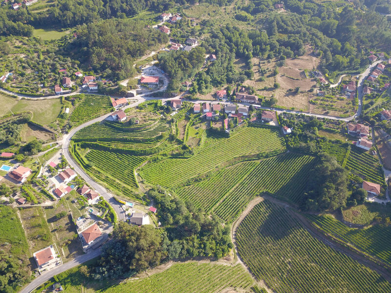 Vinhas do Tâmega